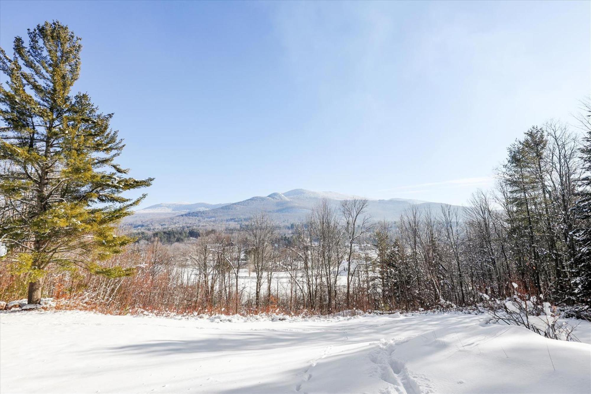 Pinnacle Lookout Stowe Extérieur photo